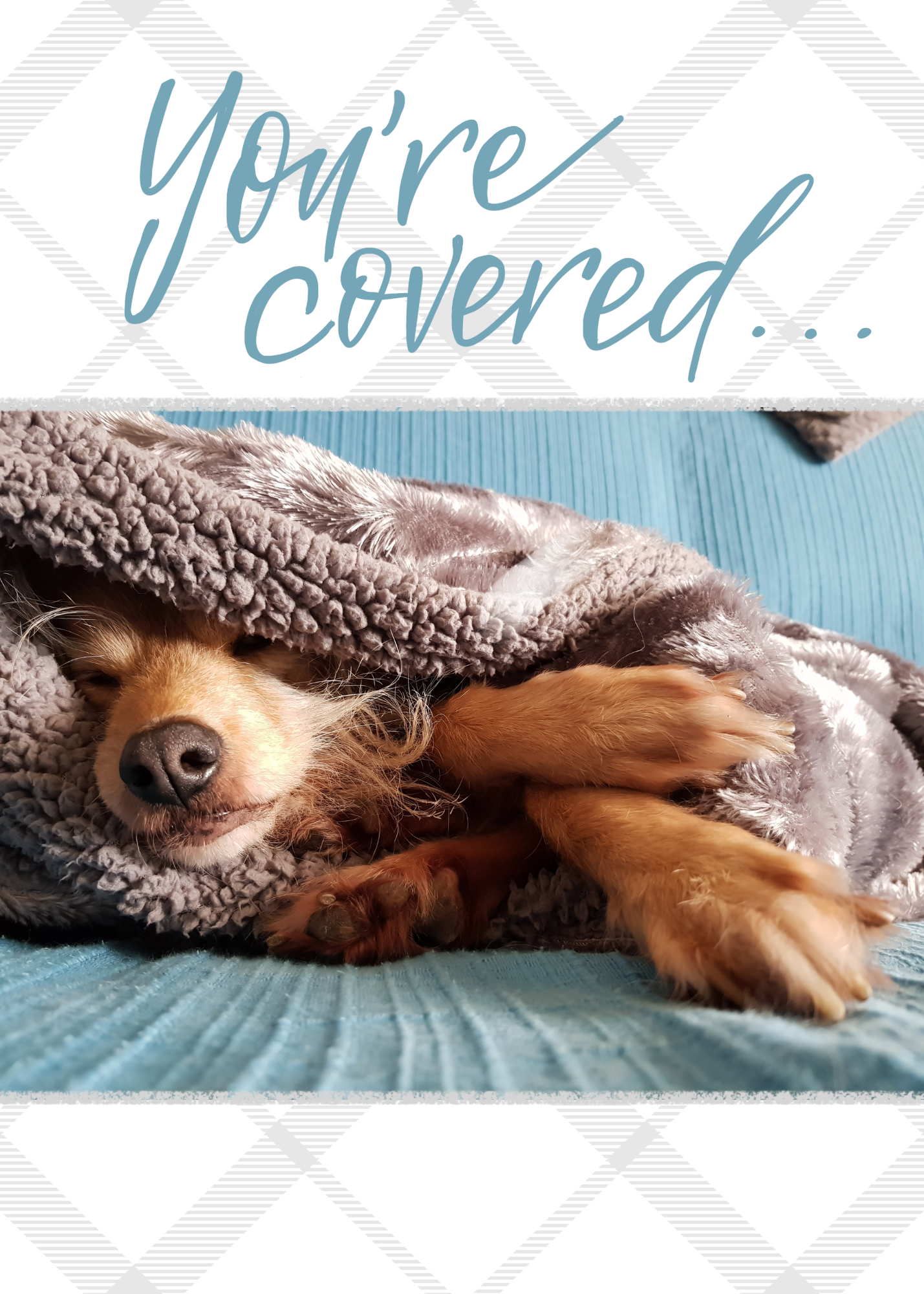 #036 You're Covered/Thinking of You Card, 5x7"