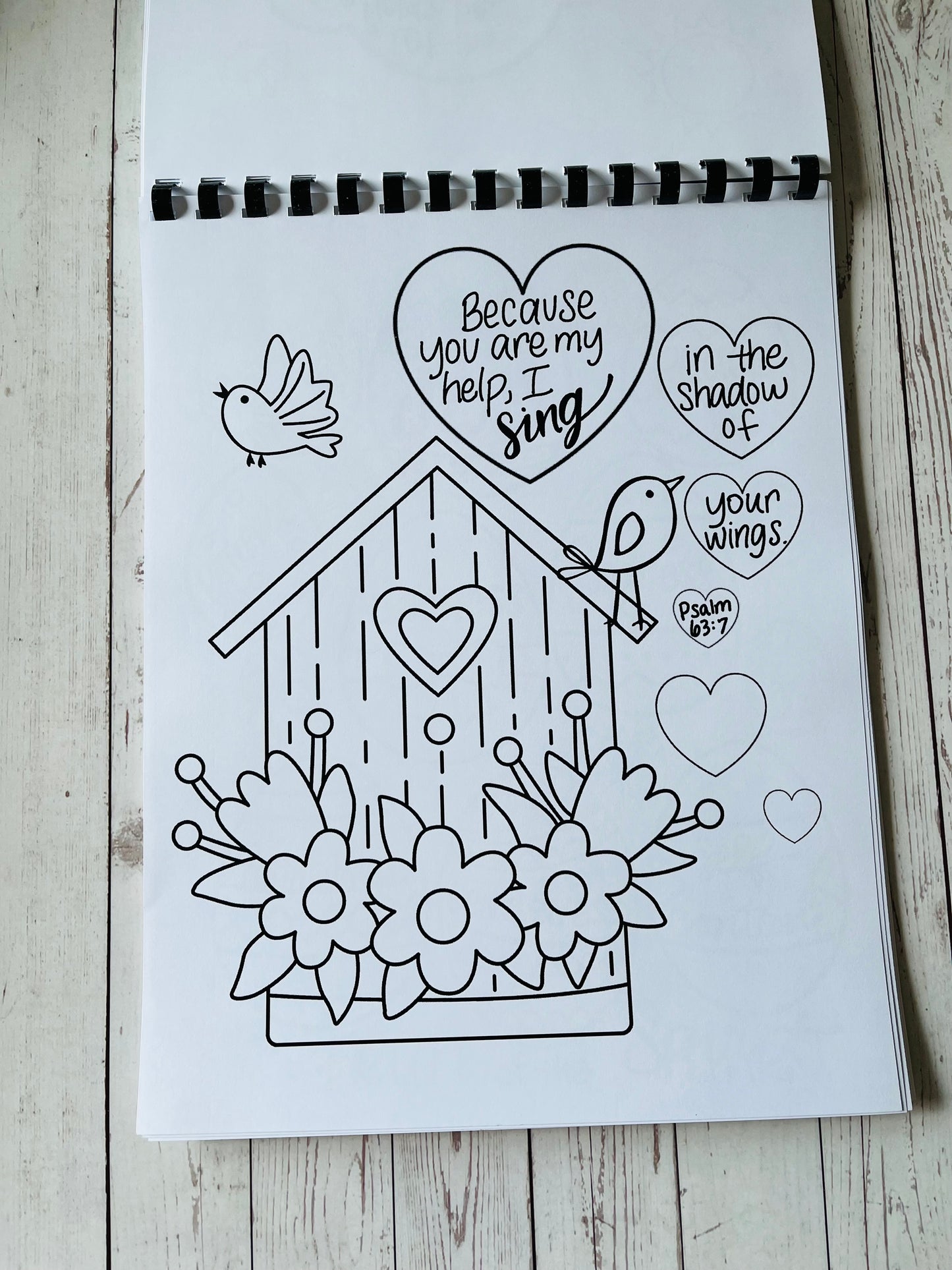 Spring for Joy Coloring Book